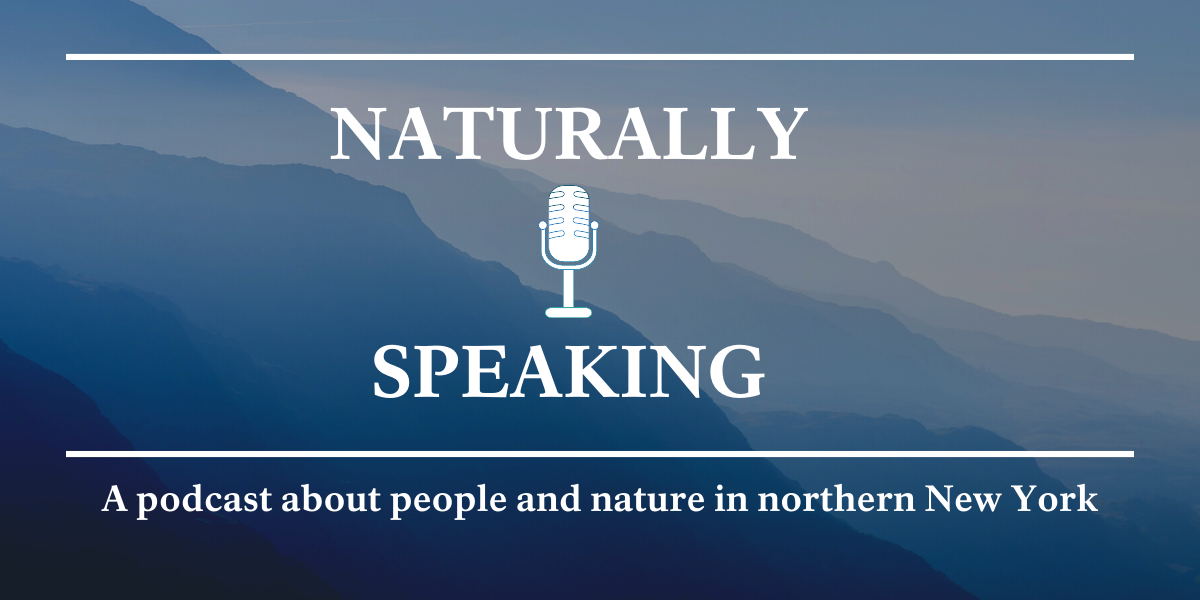 Naturally speaking banner with podcast microphone image