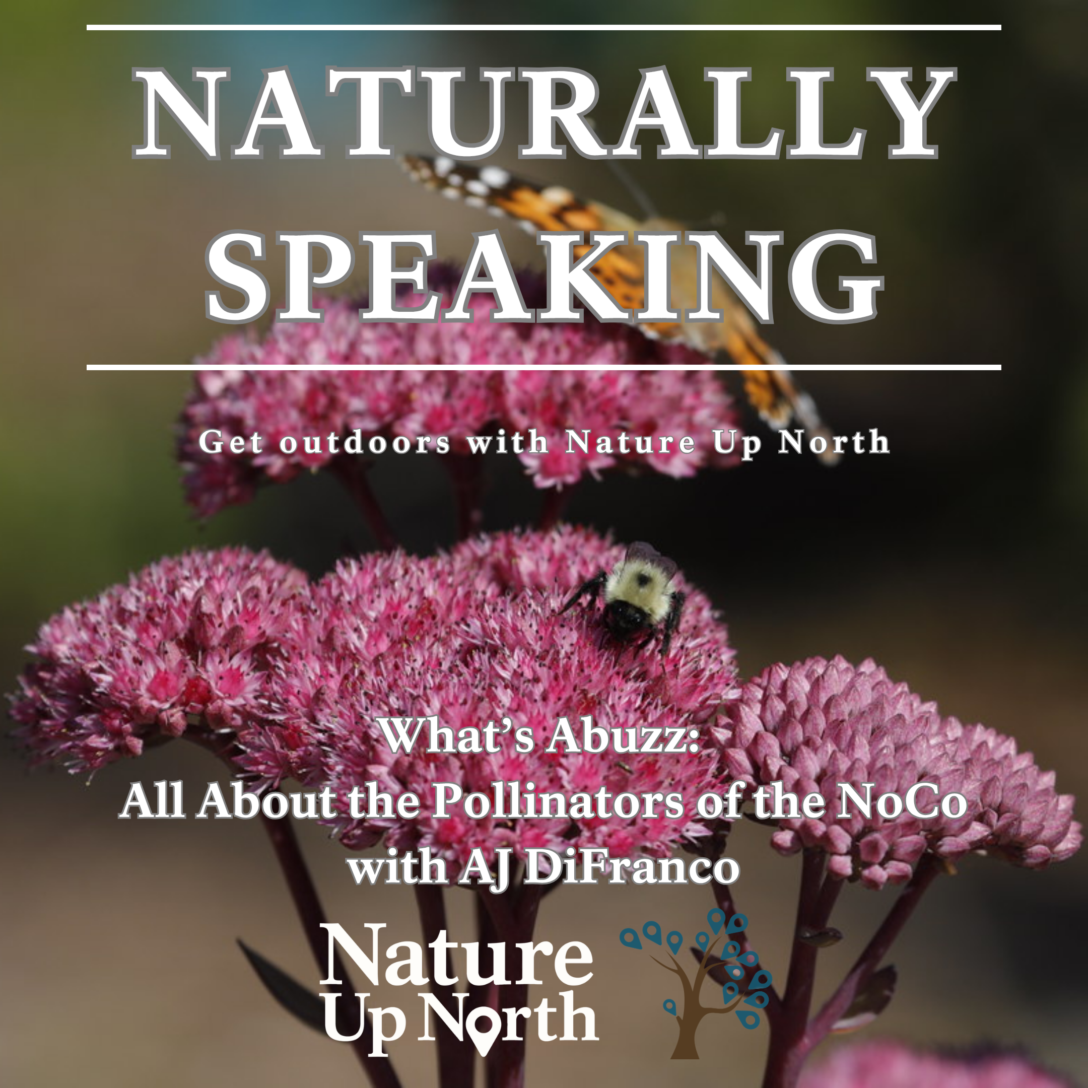 Nature Up North | It's just our Nature here in northern New York
