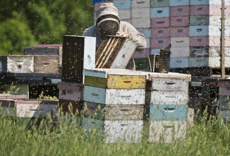 Photo: Christopher Lenney, Watertown Times