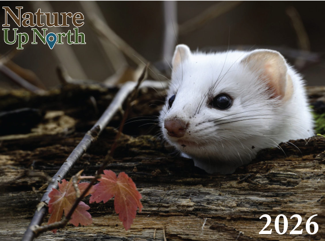 2026 Calendar Cover Photo