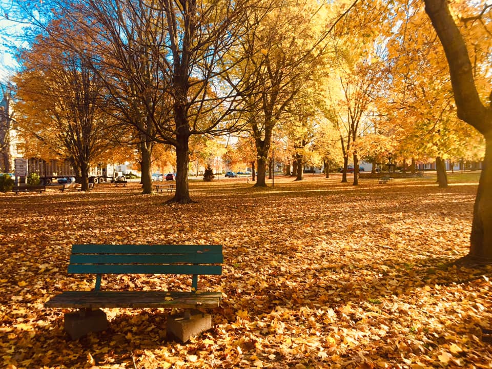 The Canton Farmers’ Market in Autumn (Source: Facebook)
