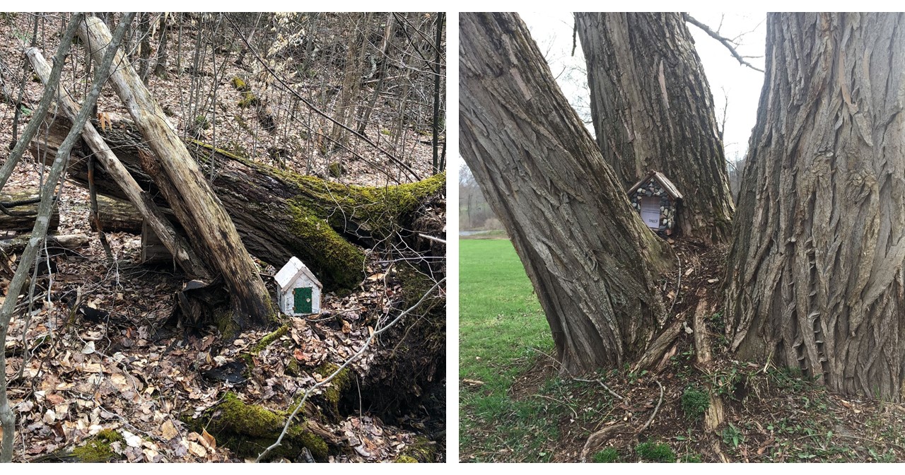 Two fairy houses, one made from birch bark nestled among the pieces of a fallen tree, another made from stones and tucked into the nook of a tree with four diverging trunks.  