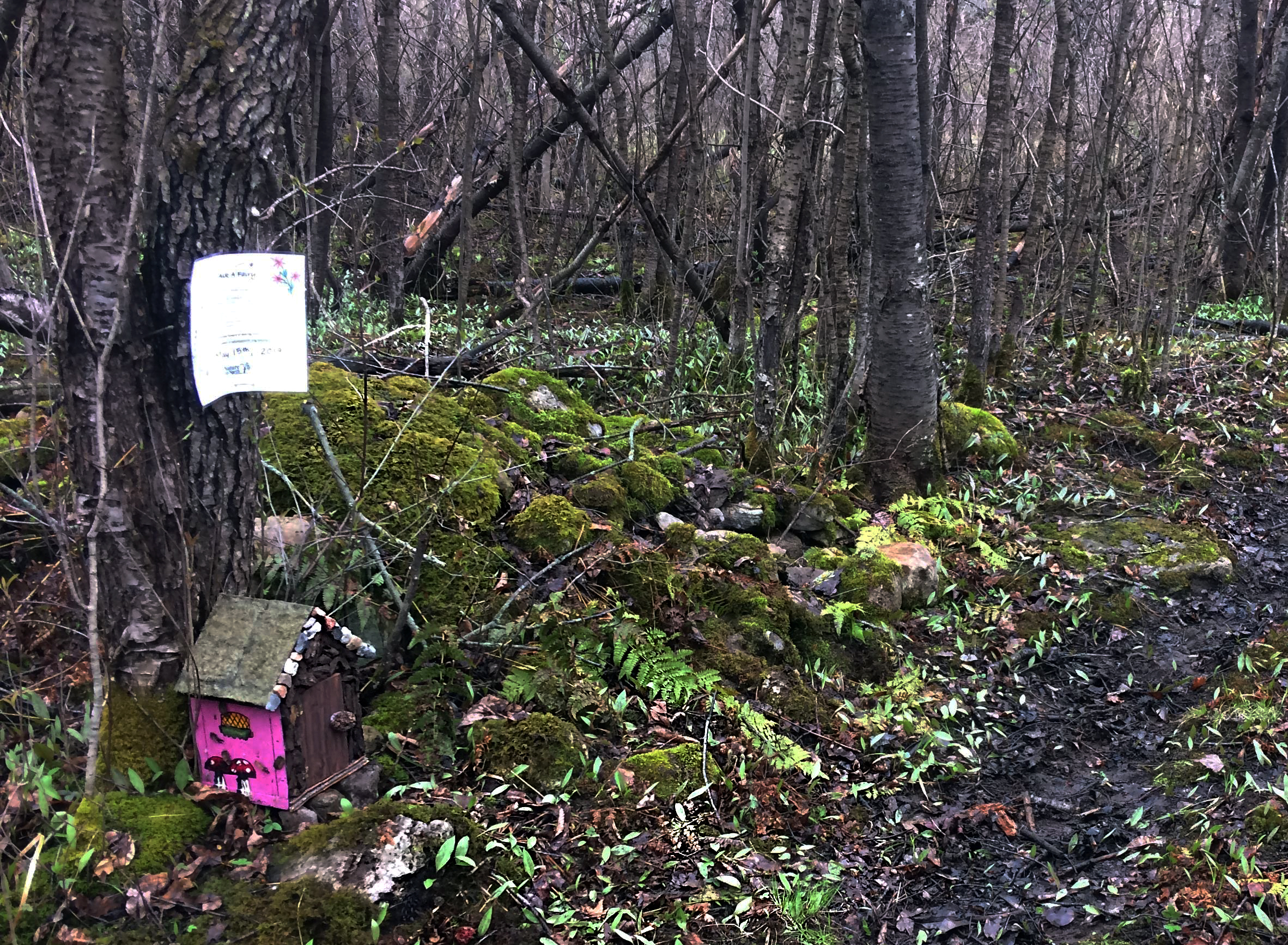 Fairy house at Indian Creek Nature Center