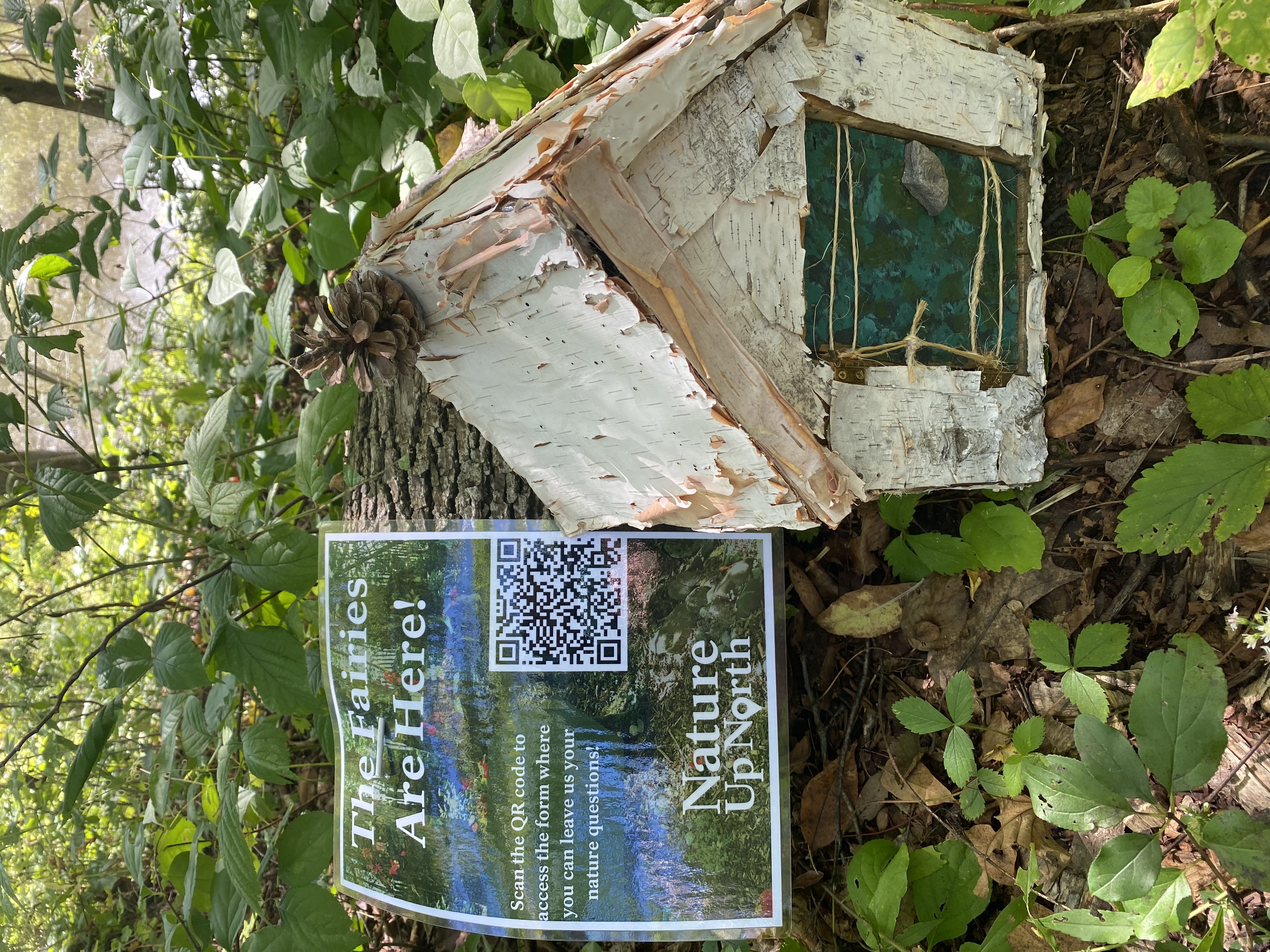 White paper-birch covered fairy house resting against log with poster nailed to log next to it