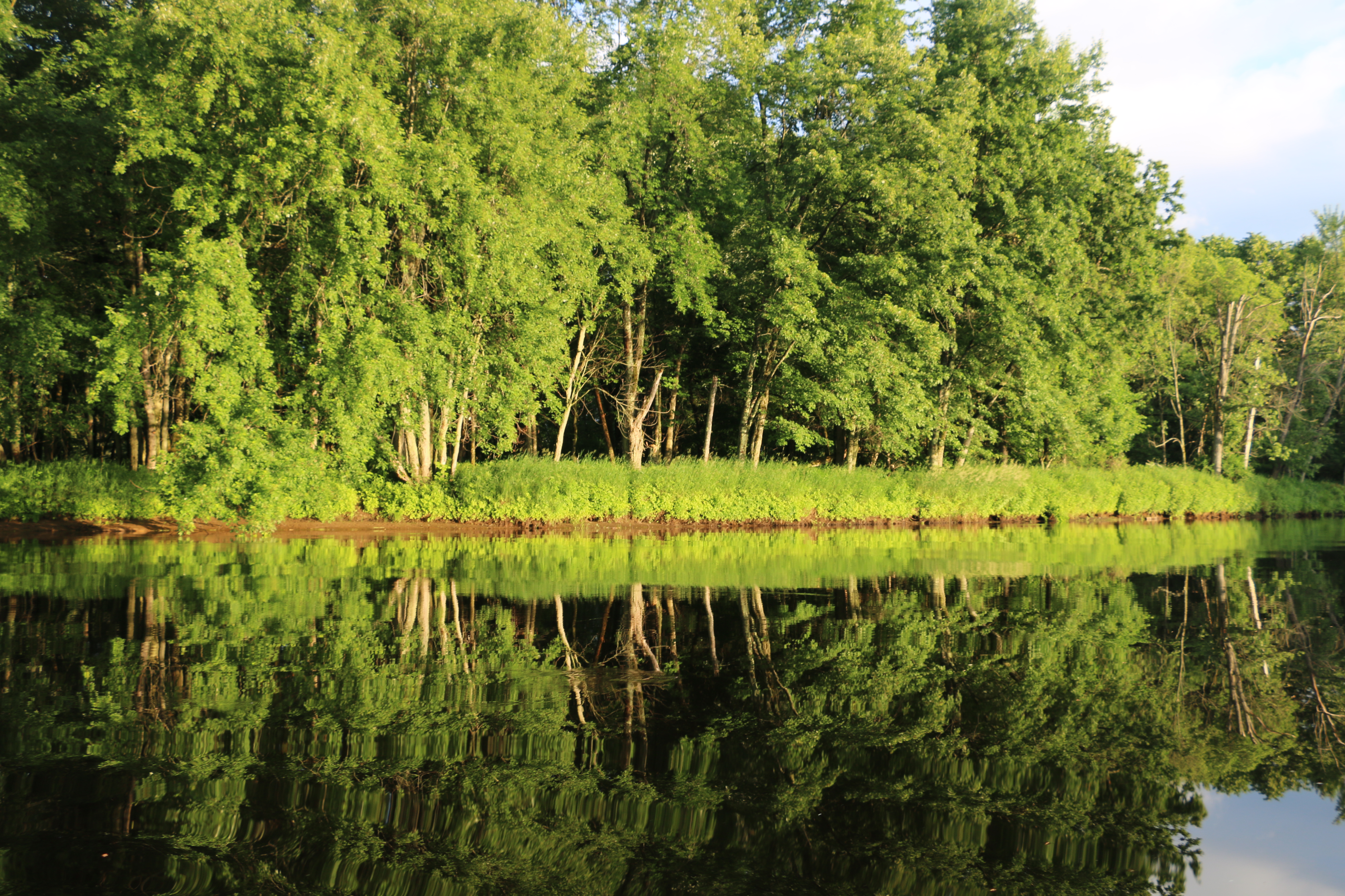 The Grasse River near Taylor Park, Summer 2018.