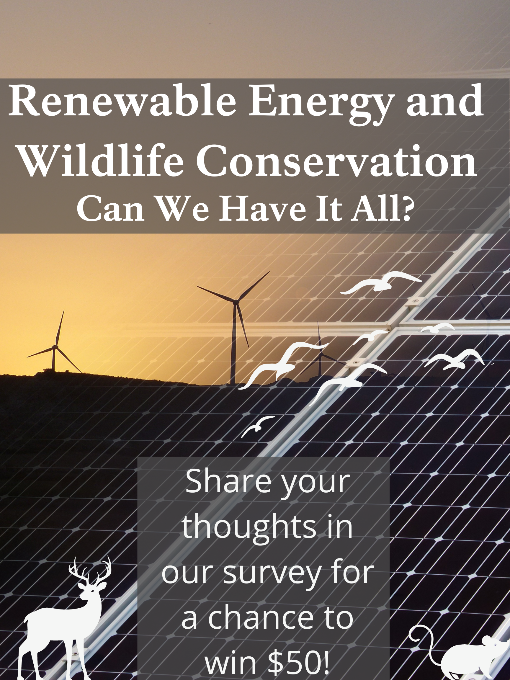 Renewable Energy and Wildlife Conservation survey poster - complete the survey for a chance to win $50!