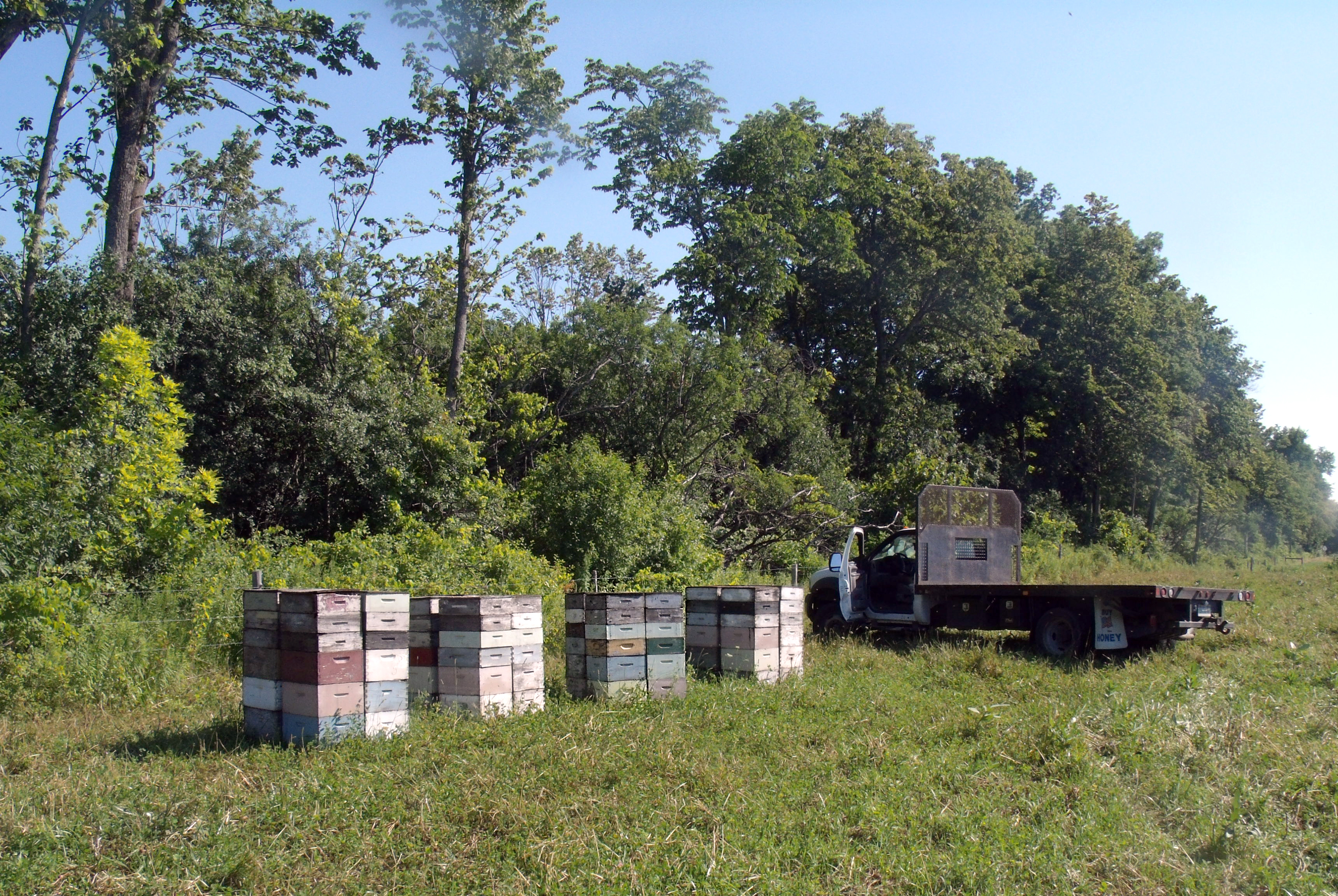 Beehives