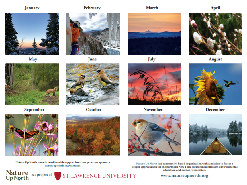 2020 calendar winner photos