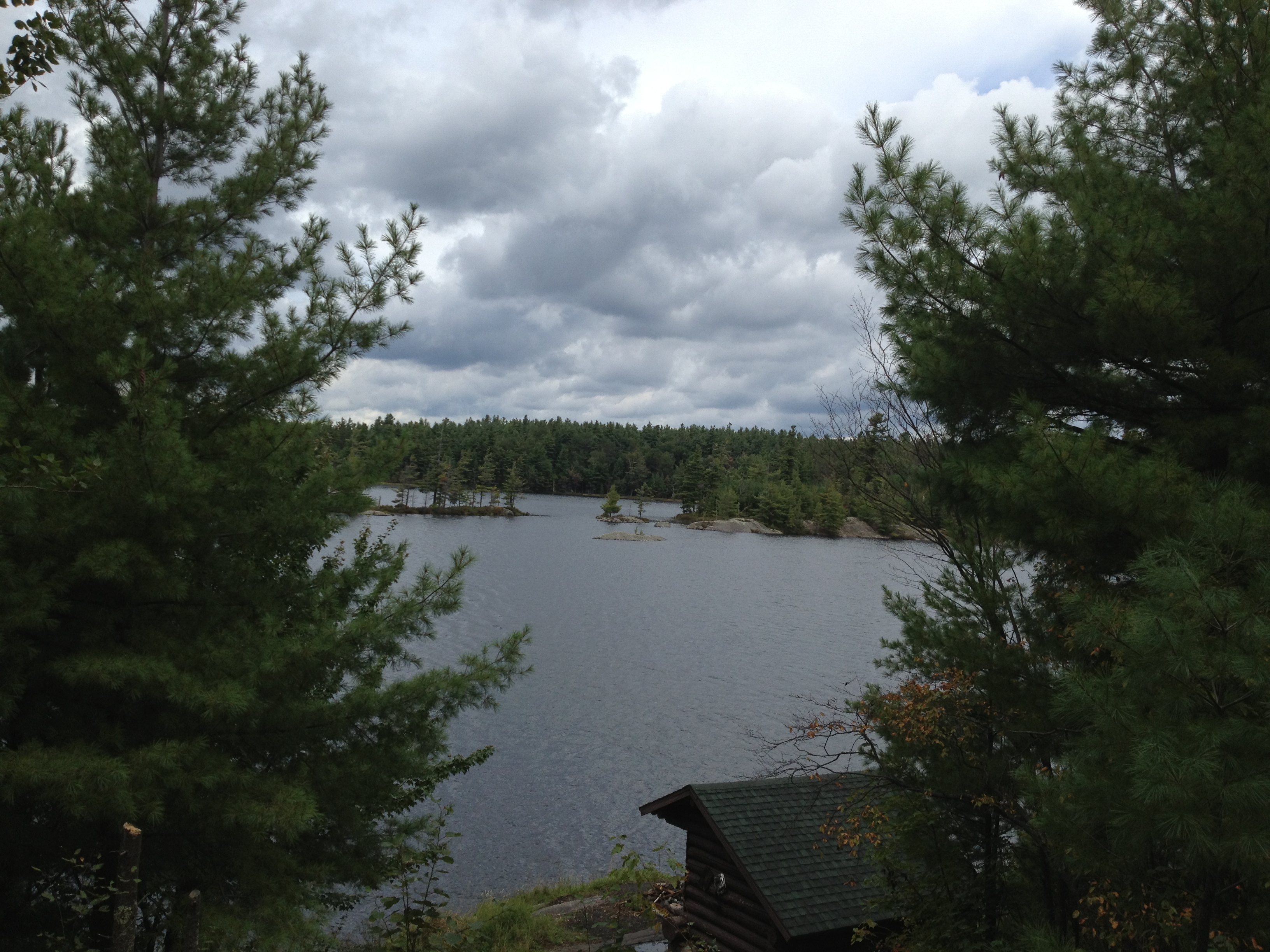 Wolf Lake Hike Nature Up North