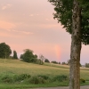 Part of a rainbow in a pink sky in a field, with a tree in the foreground