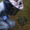 Person squatting down next to snapping turtle in a few inches of water.