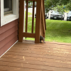A squirrel peeks through the rungs of a porch railing