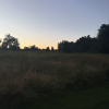 Walk watching the sunset
