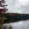 Image of trees displaying early fall foliage at the edge of a pond