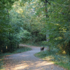A doe stands on the side of the Remington Trail pathway. 