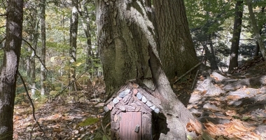 Fairy House in Stone Valley