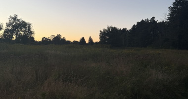 Walk watching the sunset