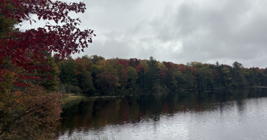 Image of trees displaying early fall foliage at the edge of a pond