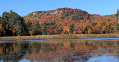 Lows Overlook from the Bog River