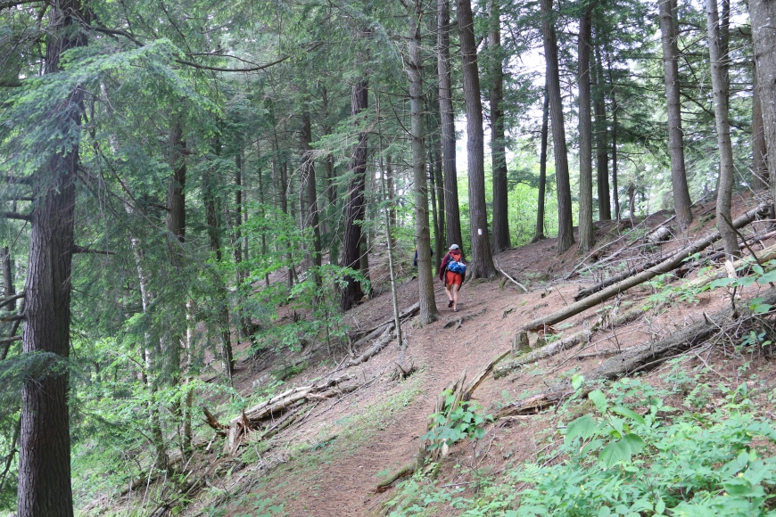 Hiking along the slope of the esker at Lake Massawepie. Photo: Molly McMasters