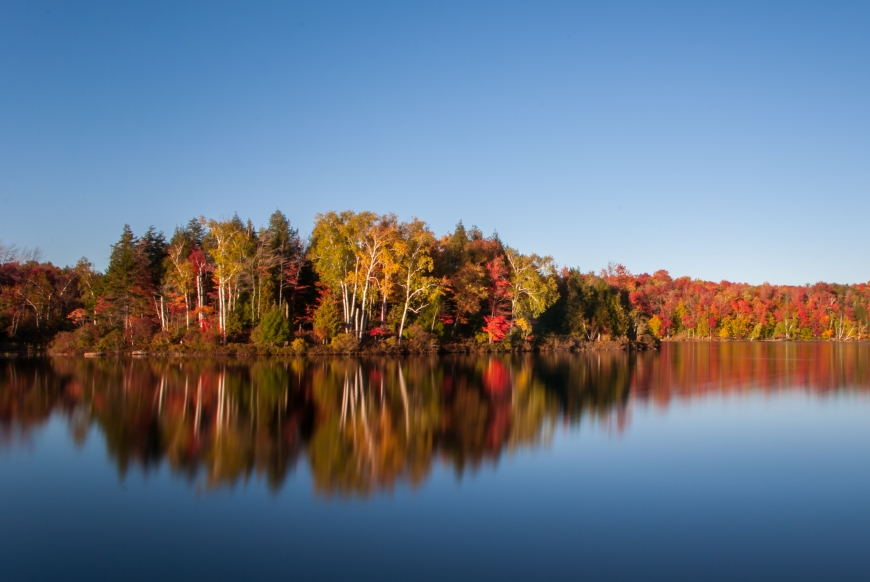 Peak Foliage at Piercefield Flow Nature Up North