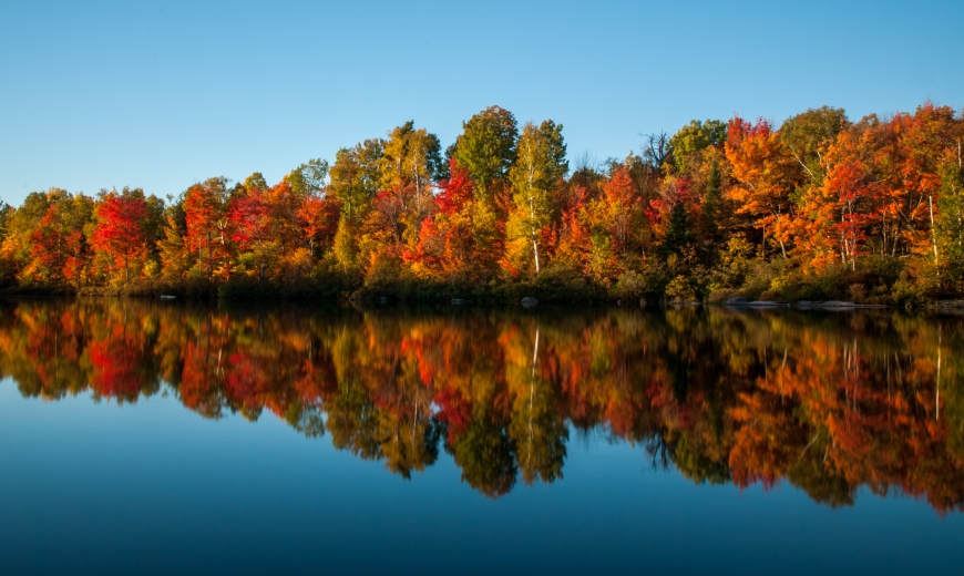 Peak Foliage at Piercefield Flow Nature Up North