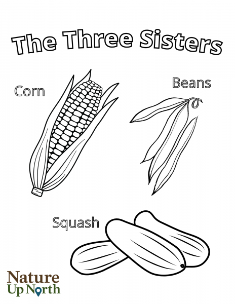 Coloring Page: The Three Sisters