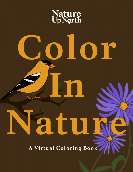 Virtual Nature Coloring Book Cover