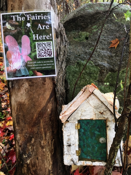 Image of a white birch fairy house nestled against a rock with a poster attached to tree