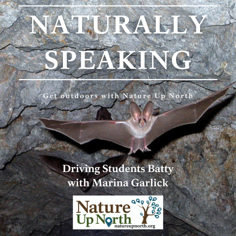 Naturally Speaking cover photo with a bat background