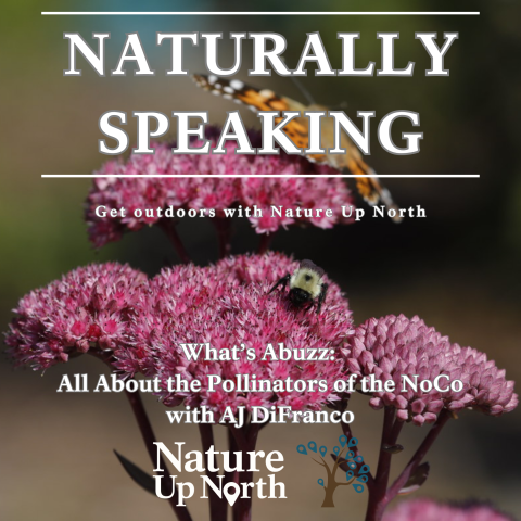 Thumbnail for Naturally Speaking Episode