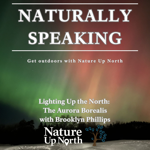Thumbnail for the Naturally Speaking Podcast