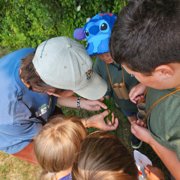 Summer Naturalist Will shows a leaf to elementary students.