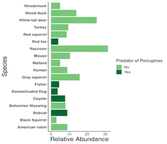 Bar graph showing relative abundance of species 