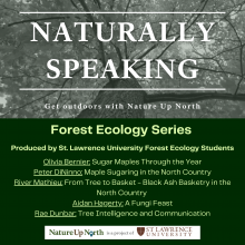 Naturally Speaking Forest Ecology Series introduction