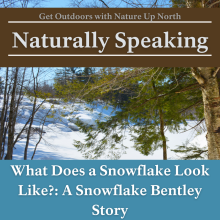 Nature Up North's Naturally Speaking Podcast Thumbnail