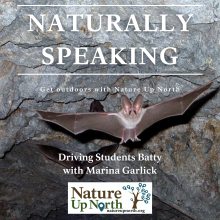 Naturally Speaking cover photo with a bat background