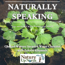 Thumbnail for the Naturally Speaking Podcast