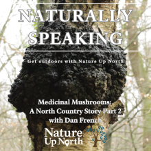 Naturally Speaking cover photo with a chaga mushroom background