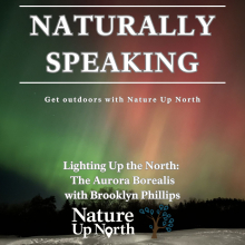 Thumbnail for the Naturally Speaking Podcast