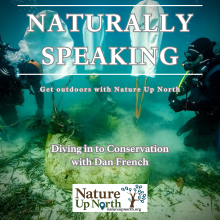 Thumbnail for the Naturally Speaking Podcast