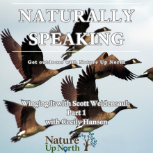 A flock of geese behind Naturally Speaking episode text