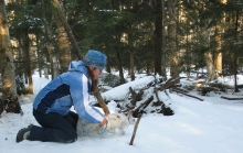 Jorie Favreau releases a snowshoe hare after processing.