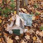 A fairy house with a birchbark roof and a green door sitting at the base of a tree