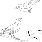 Coloring Page 1: Birds