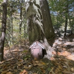 Fairy House in Stone Valley