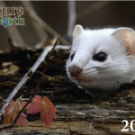 Cover of the 2026 Calendar