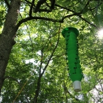 A green emerald ash borer trap issued by New York State hangs in an ash tree. 