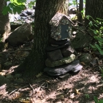 North Country Fairy House