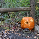 Pumpkin fairy house